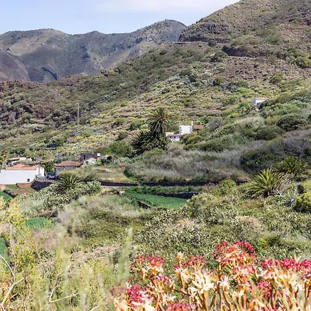 Home2book Nature Carrizales And Masca House & Wifi 木屋 布埃纳维斯塔城北