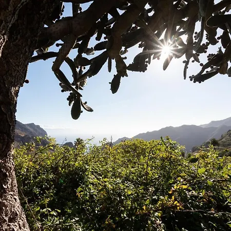 Home2book Nature Carrizales And Masca House & Wifi 布埃纳维斯塔城北